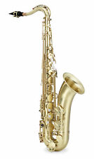 Schönes gebürstetes tenorsax gebraucht kaufen  Schongau