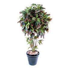 Croton artificiel troncs d'occasion  France