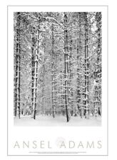 Ansel adams pine for sale  Union