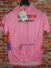 Rosa giro santini usato  Ercolano