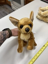 Animal alley chihuahua for sale  Fairmount