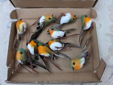 Tossme 10pcs robin for sale  UK