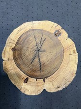 Desert ironwood short for sale  Newark