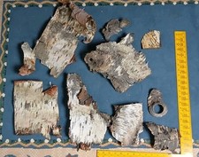 Silver birch bark for sale  HEBDEN BRIDGE