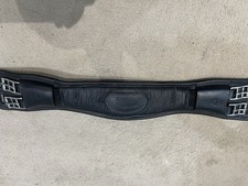 Albion legend dressage for sale  POTTERS BAR