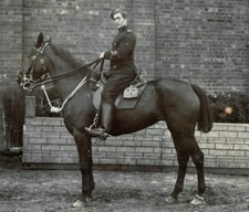 Ww1 mounted photo for sale  BARNET