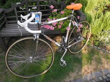 Edelrenner dancelli stahlrahme gebraucht kaufen  Castrop-Rauxel