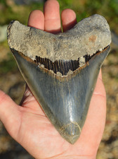 Stunning huge 5.85 for sale  UK