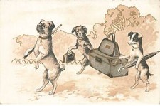 Chiens dc522 chien d'occasion  France
