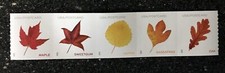 Tarjeta postal Forever Rate 2025 EE. UU. hojas vibrantes - tira de bobina de 5 como nueva segunda mano  Embacar hacia Mexico