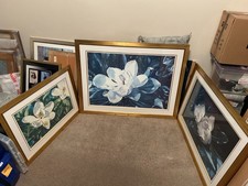 Collection giant magnolia for sale Collection giant magnolia for sale  PAIGNTON