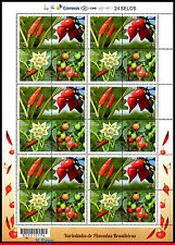 3315 BRASIL 2015 VARIEDADES DE PIMENTAS BRASILEIRAS, PLANTAS DE FLORES FRUTÍFERAS, FOLHA SEM MARCA DE CHARNEIRA comprar usado  Brasil 