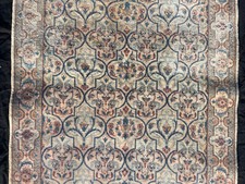 persan golden shaded d'occasion persan golden shaded d'occasion Paris V
