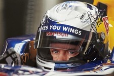 Sebastian vettel signiert gebraucht kaufen  Tangstedt