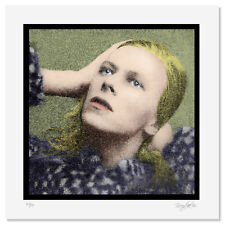 David bowie hunky for sale  SUDBURY