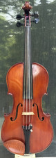 Italian mozino early for sale  Saint Joseph