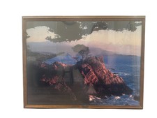 Lone cypress tree for sale  Sparks