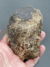 Early middle paleolithic d'occasion  Bonneville