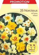 Bulbi autunnali narciso usato Bulbi autunnali narciso usato  Torre Canavese