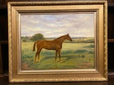 Portrait chestnut horse for sale  BARNARD CASTLE