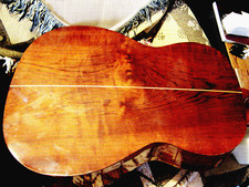 Giannini awn classical for sale  Marshalltown