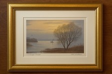 W.f. southam windswept for sale  BLACKPOOL