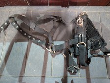 Shires lunging cavesson for sale  PRESTON