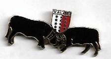 Pin combat vaches d'occasion  Saint-Amand-Montrond