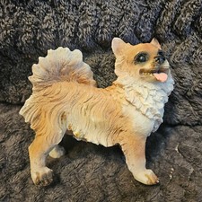 Long haired chihuahua for sale  Houghton Lake