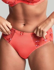 Brief knicker panache for sale Brief knicker panache for sale  UTTOXETER