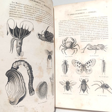 Zoologie marine histoire d'occasion  Paris IX
