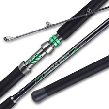 Sougayilang spinning casting for sale  USA