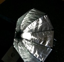 Walimex daylight ctagon gebraucht kaufen  Bad Laasphe
