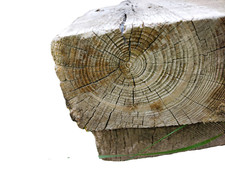 X48 hand hewn for sale  Mayville