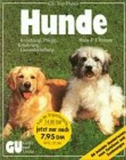 Hunde gebraucht kaufen  Berlin