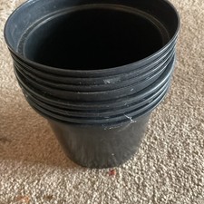 plastic plant pots 20cm for sale plastic plant pots 20cm for sale FOCHABERS