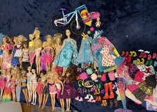 Lote de 26 muñecas Barbie y zapatos cartera ropa accesorios más bicicleta y perros segunda mano  Embacar hacia Mexico