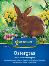 Kiepenkerl stergras deko gebraucht kaufen  Aurich
