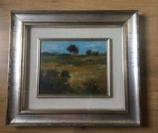Olio tela paesaggio usato  Ravarino