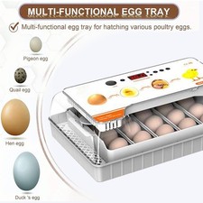 Incubator for hatching d'occasion  Expédié en France