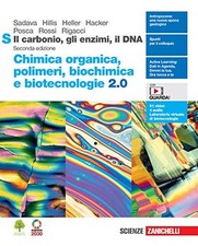 Carbonio gli enzimi usato  Sesto San Giovanni