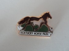Pin horse riding d'occasion  Expédié en Belgium