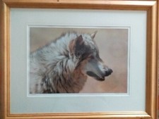 Carl brenders steadfast for sale  LEOMINSTER