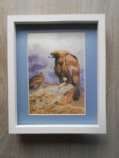 Archibald thorburn print for sale  YORK