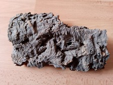 Terrarium kork rinde gebraucht kaufen  Hürth