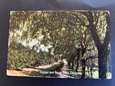 Orange pepper trees for sale  College Grove