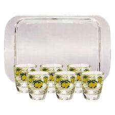 Set limoncello bicchierini usato  Ariano Irpino