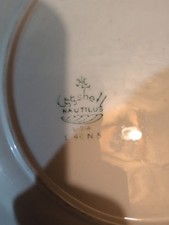 eggshell nautilus for sale eggshell nautilus for sale Fairmont
