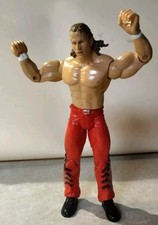 Shawn michaels wwe usato  Verona