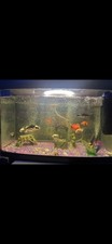 Fish tank dish for sale  CARDIFF